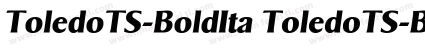 ToledoTS-BoldIta ToledoTS-BoldIta字体转换